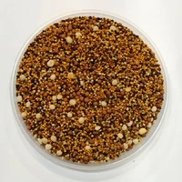 Смесь сидератов (горчица, вика, люпин, сурепка, редька масличная) - 1 кг