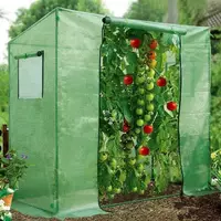Теплиця садова, парник на помідори Польща 200х77 зелена