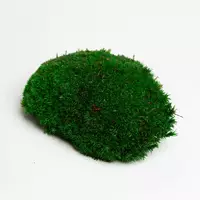 Стабилизированный мох Green Ecco Moss  кочка тёмно-зеленая 1 кг