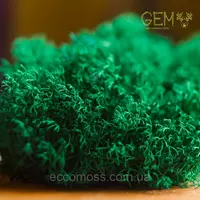 Стабилизированный мох Green Ecco Moss ягель украинский изумрудный 4 кг