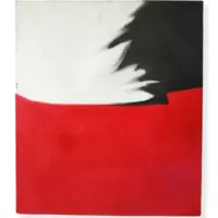 Картина на полотні Білий, чорний, червоний 50x60 см. Картина абстрактний експресіонізм