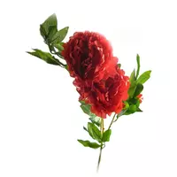 Квіти "Піон" (105 см)